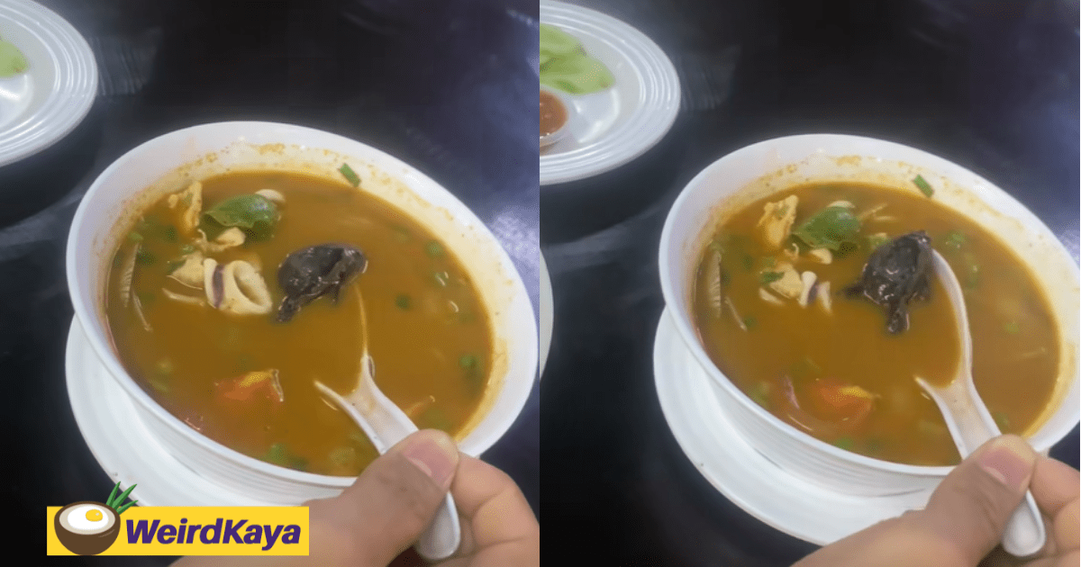 M'sian Woman Disgusted After Finding An Entire Frog Inside Tom Yam Soup