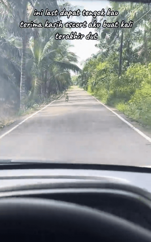 Gendut escorts M'sian man from his hometown