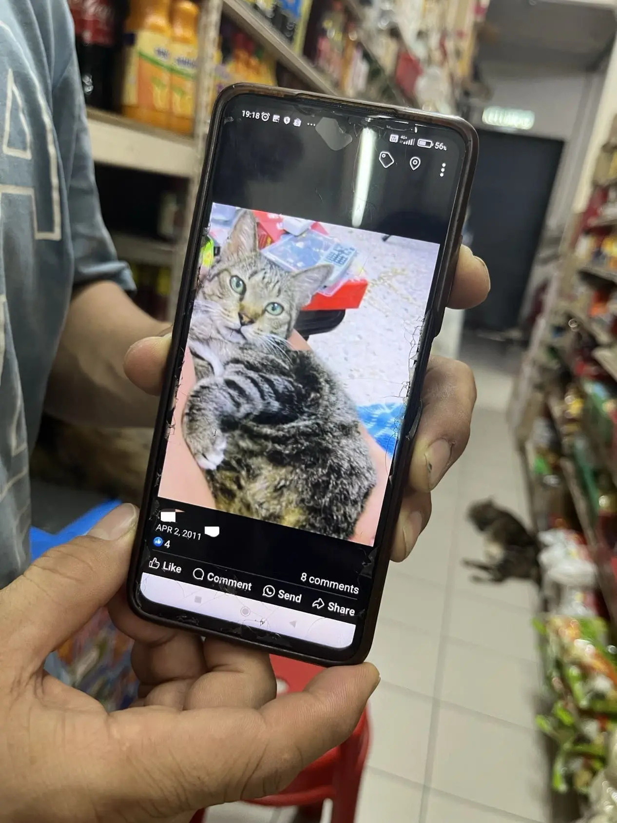 Goh showing a photo of Meowmi