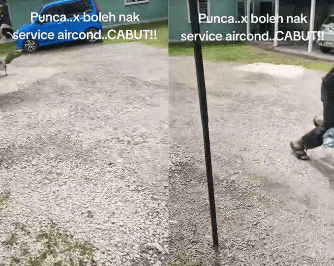 Goose chases man away