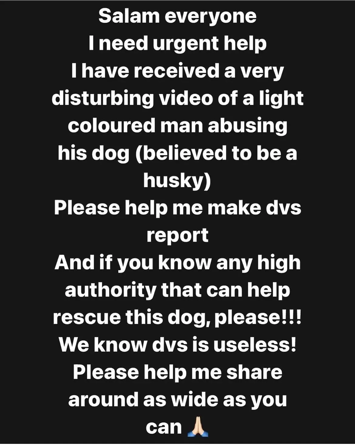 husky got beaten by man in kajang - July 2024 - notice