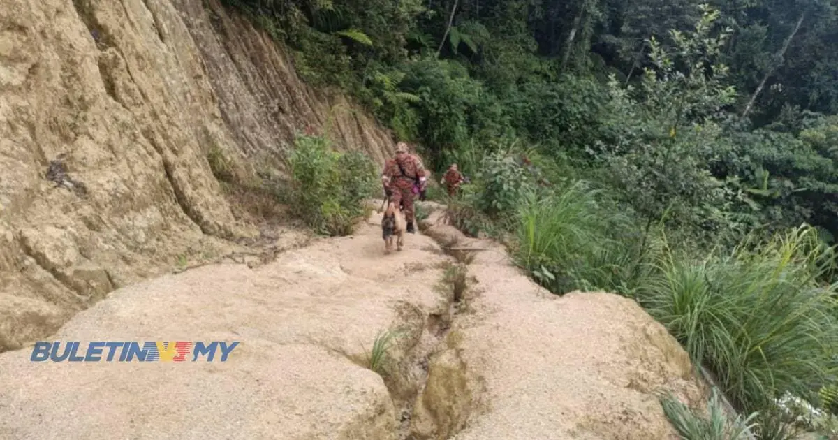 Firefighters, along with a K-9 dog, are looking for the missing Indian tourist.