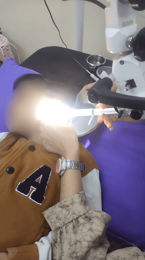 Hayfa having her ears cleaned