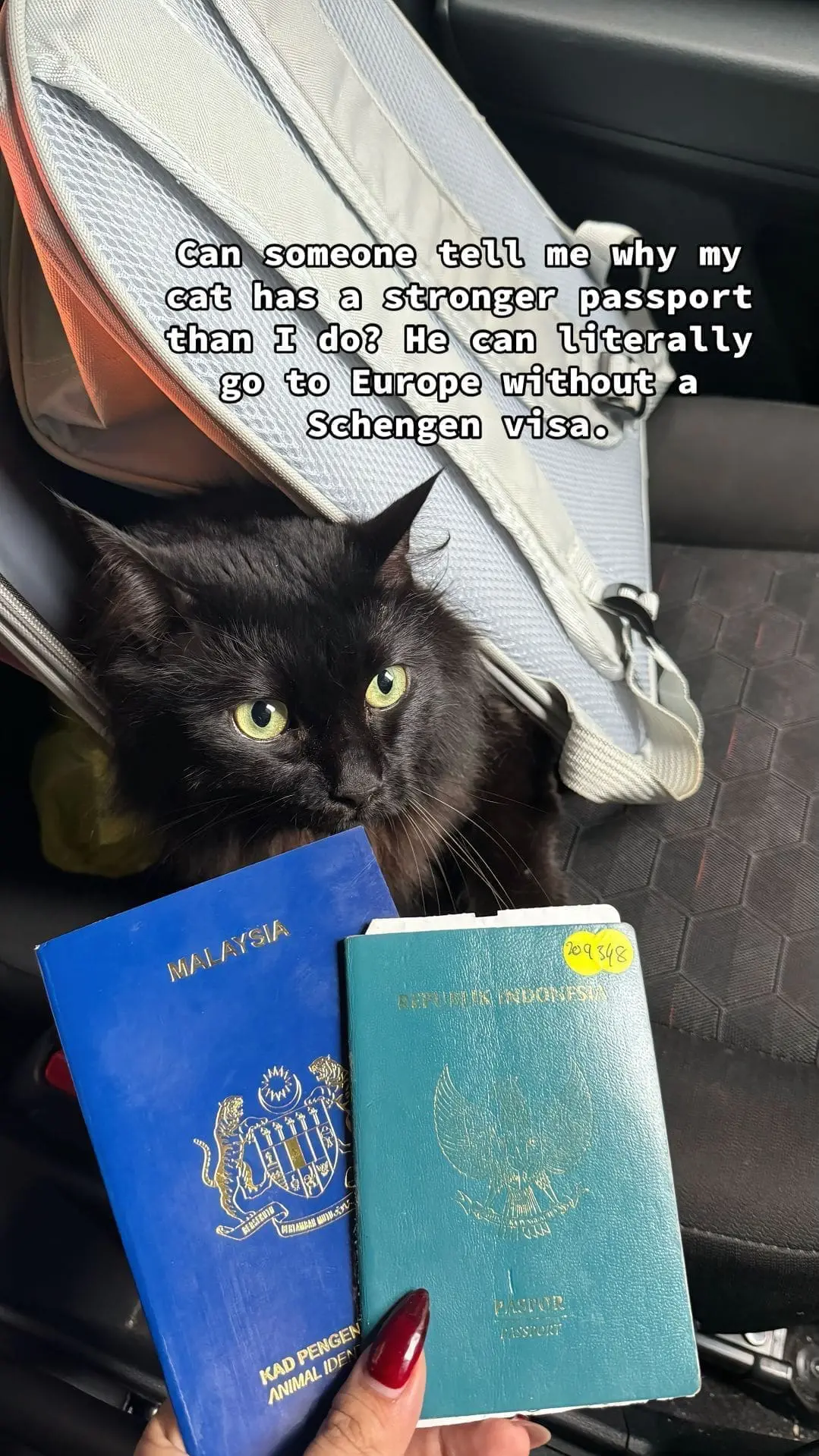'He Can Go To Europe!' – Woman Amused By Her M’sian Cat Having A Stronger Passport Than Her