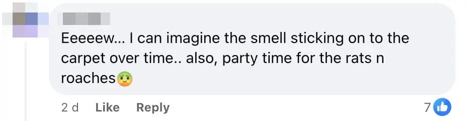 Hotpot cinema rats and cockroaches