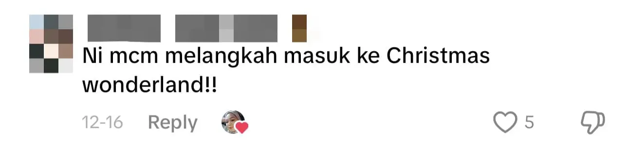 House In Penang Goes Viral For Lavish Christmas Decorations Which Costs Over RM10,000 comment 3