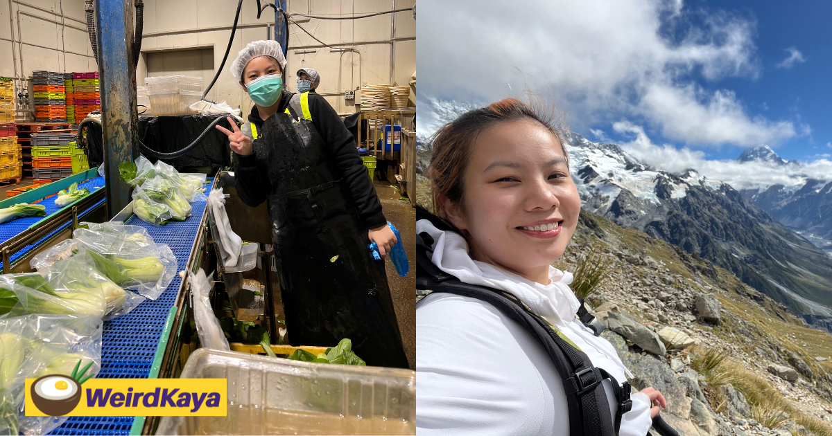 I'm A 28yo M'sian Who Graduated From Top Uni But I Do Physical Labour Jobs In New Zealand & It's Life Rewarding