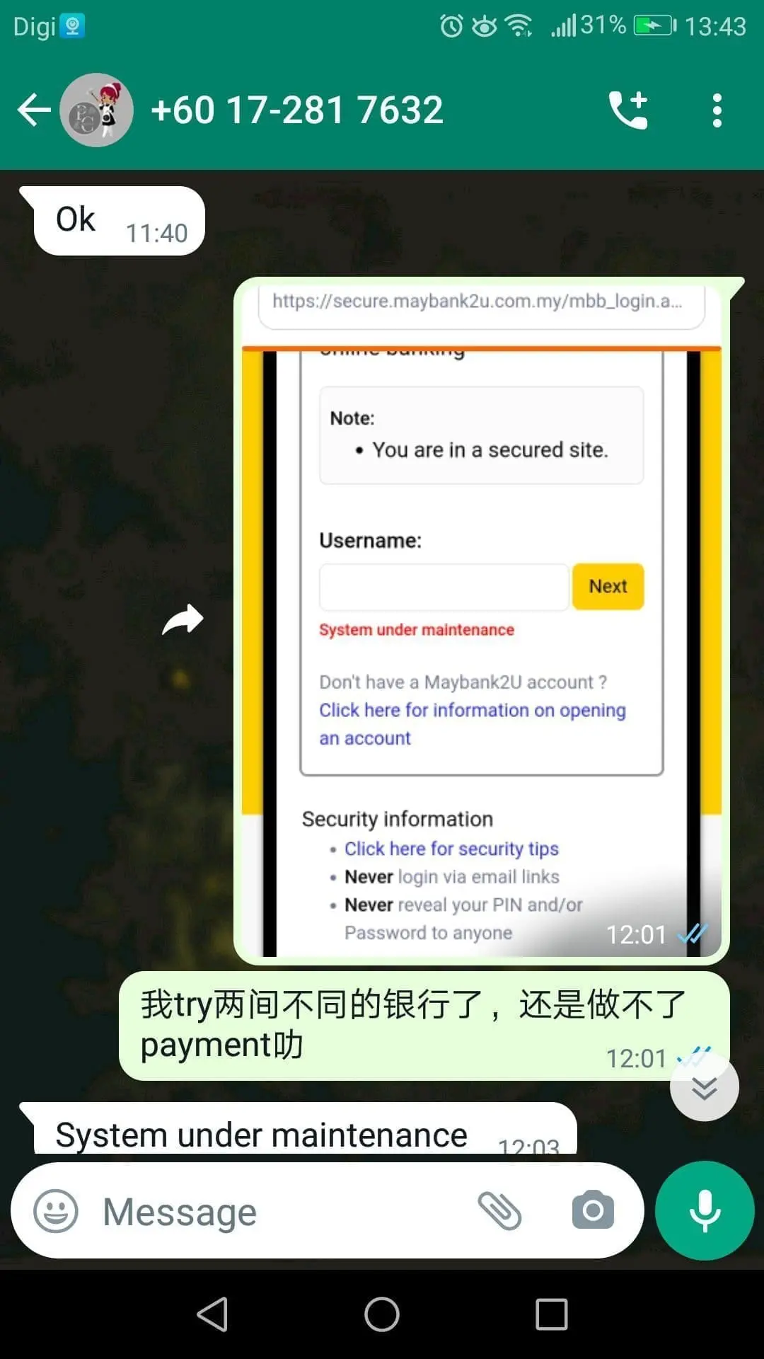 Penangite scammed by Cleaning Application