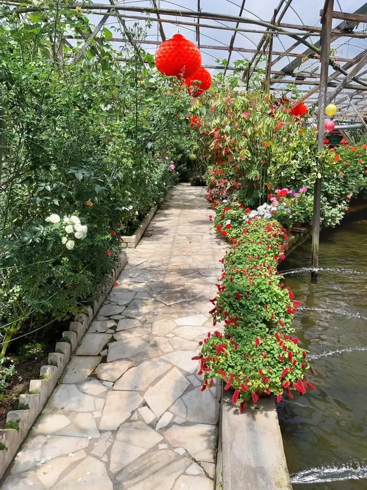 Budget Getaway Trip For A Scenery Change In Nature For 3d2n