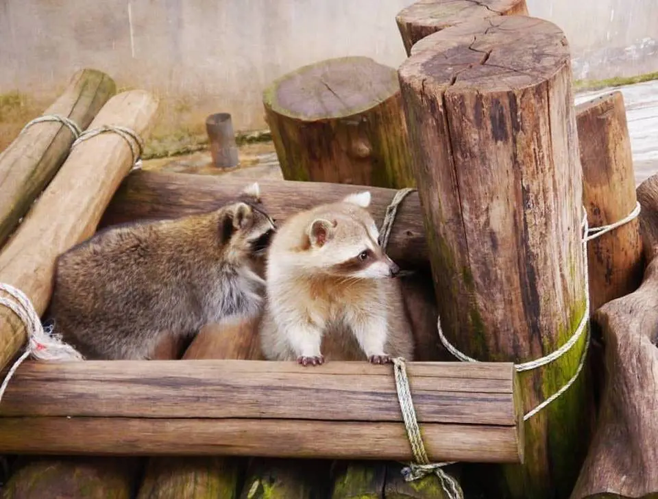 Budget Getaway Trip For A Scenery Change In Nature For 3d2n