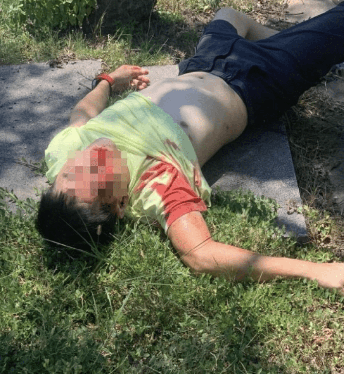 Taiwanese Singer Jimmy Lin's Tesla Crashed And Caught Fire When Going Out With His Son