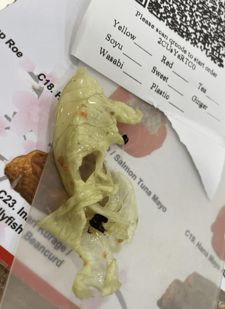 "Not My Problem!" — Restaurant Manager Denies Responsibility After Customer Finds Cockroach In Salad