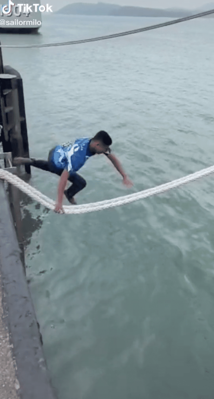[VIDEO] Sailor Praised For Jumping Into Sea To Save Cat Trapped On Ship's Bow