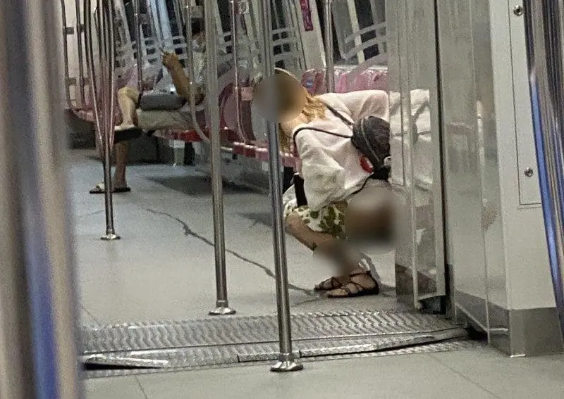 SG woman pees on MRT