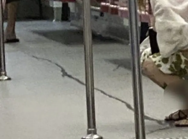 SG woman pees on MRT