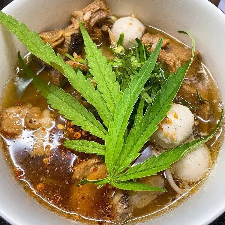 S'porean Tourist Mistakenly Eats Cannabis-Infused Noodles In Thailand After Thinking It Was Kangkung