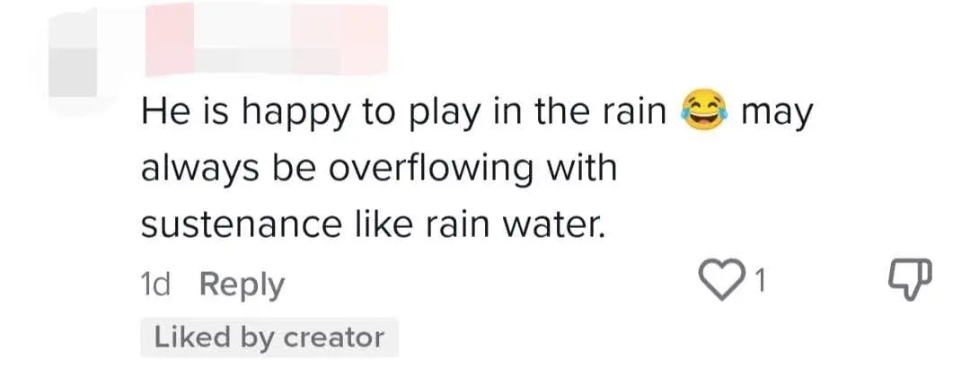 Clip Of foodpanda Rider Dancing In The Rain Is Sure To Put A Smile On Your Face