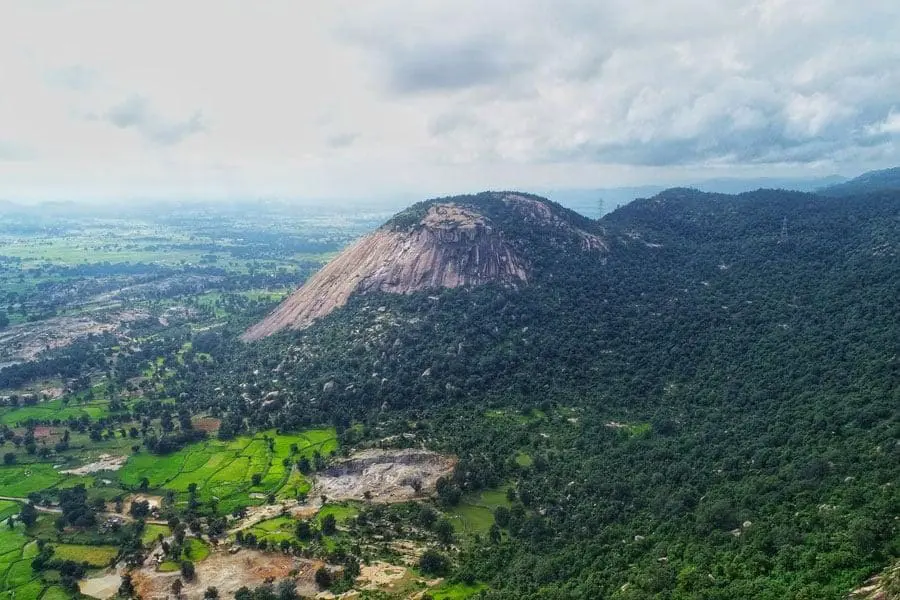 8yo Indian Boy Gets Bitten By Cobra, Bites Back Twice, Killing It