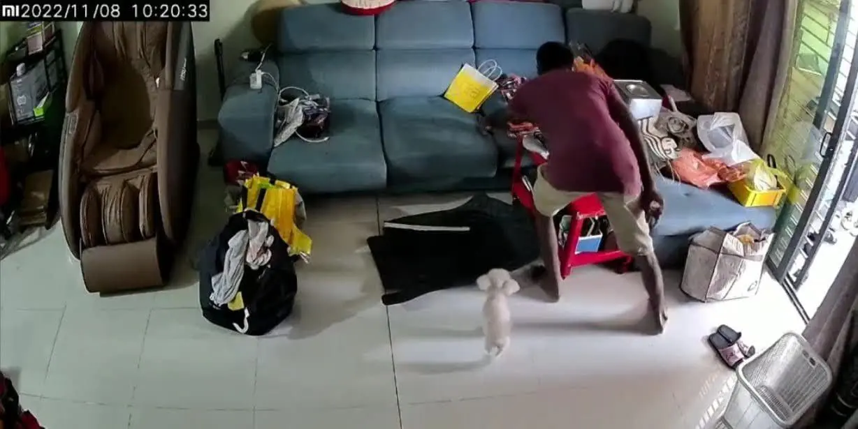 Thief Enters House In Broad Daylight - Steals RM7 000 Phone From Living Room
