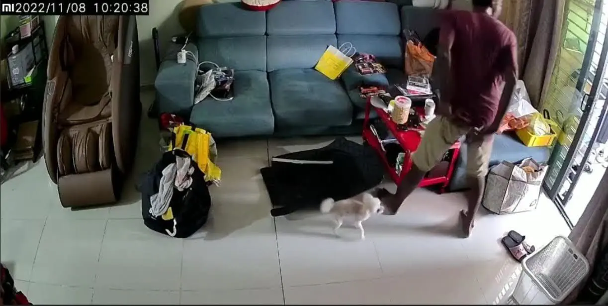 Thief Enters House In Broad Daylight - Steals RM7 000 Phone From Living Room