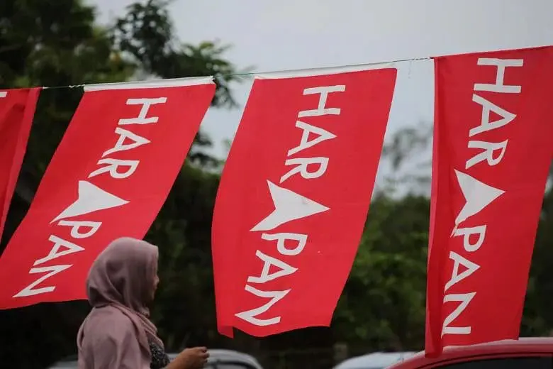 Woman looking at PH flags