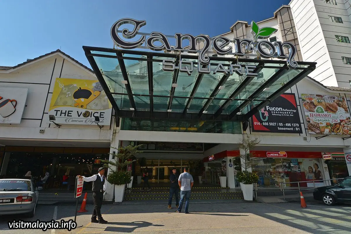 M'sian Woman Loses RM7,000 To Pickpockets Who Stole Credit Card At Cameron Highlands