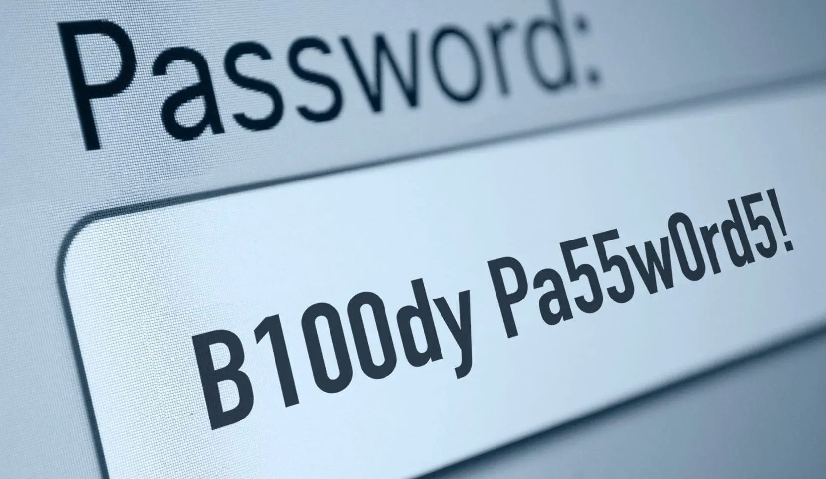 Password 