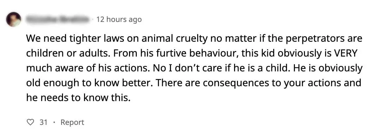 S'porean Boy Flings Cat Off 22nd Floor, Enraged Netizens Demand Justice