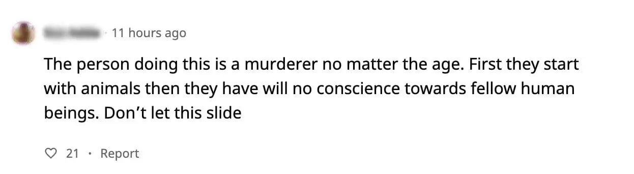 S'porean Boy Flings Cat Off 22nd Floor, Enraged Netizens Demand Justice