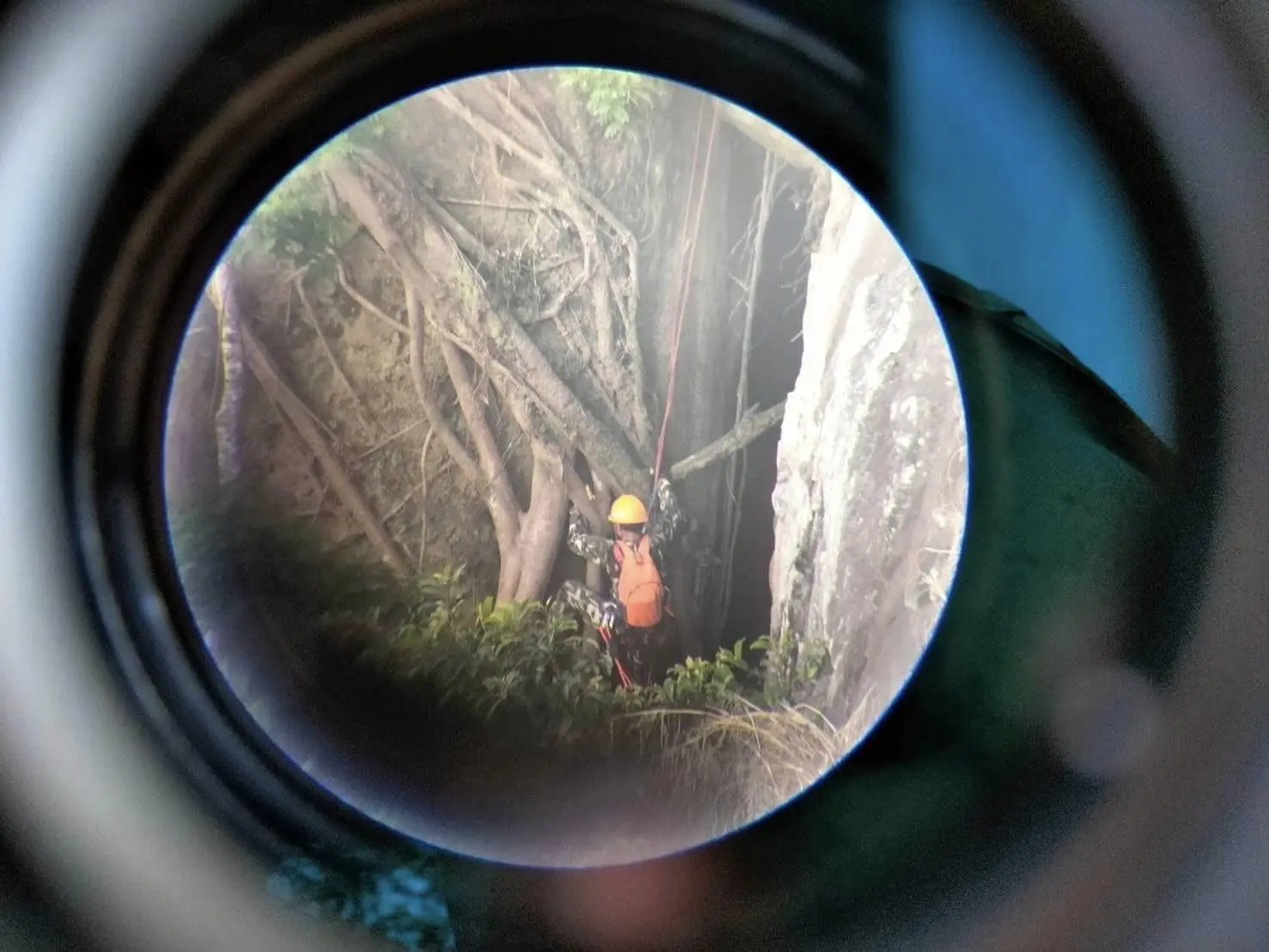 Monkey Steals Handbag Containing RM6,381 From Thai Woman & Hurls It Off A Cliff