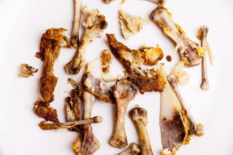 M'sian University Student Caught Eating Leftover Chicken Bones In KFC