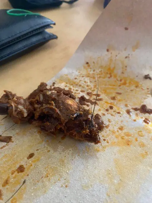 rat's head inside nasi kukus