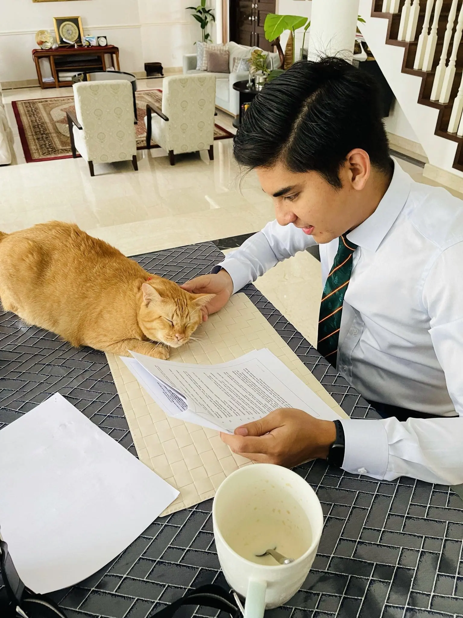 "Rest Well In Cat Heaven" — Syed Saddiq Pens Touching Post For Pet Cat Toby Who Passed Away