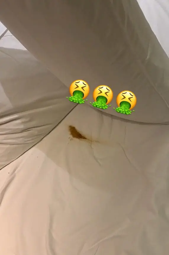 poop stains on bedsheet