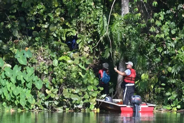 Group Of M'sian Animal Lovers Rescue Stray Dog From Cliff At Damansara Perdana