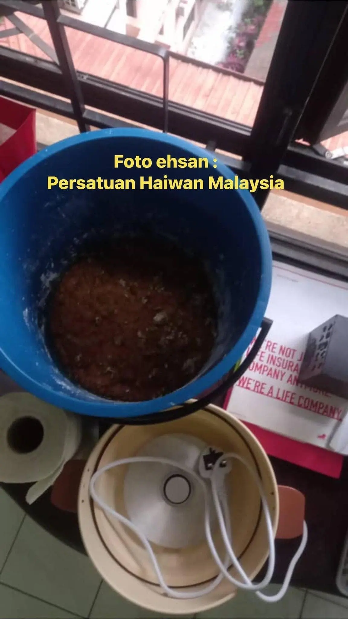 M'sian Owner Discovers Cat Carcasses And Organs At Cheras Condo, 31yo Tenant Arrested
