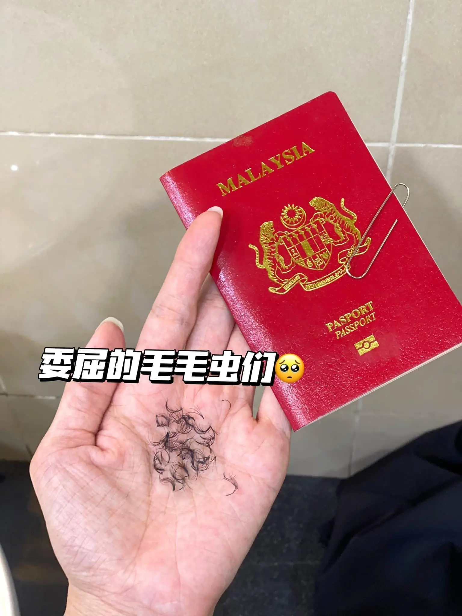 Johor Woman Forced To Pull Out Eyelash Extensions Inside Toilet To Take Passport Photo