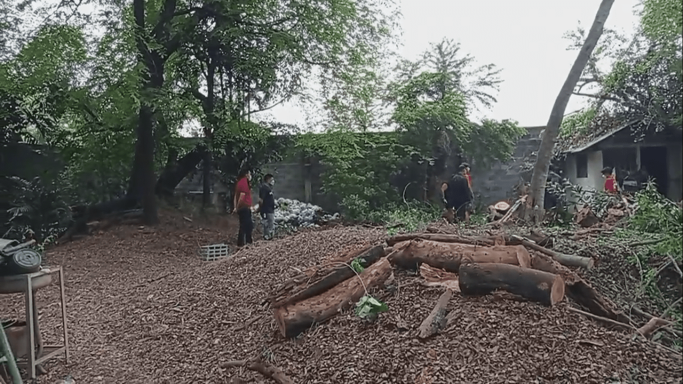 Husband Finally Cremates Late Wife's Body After Two Decades