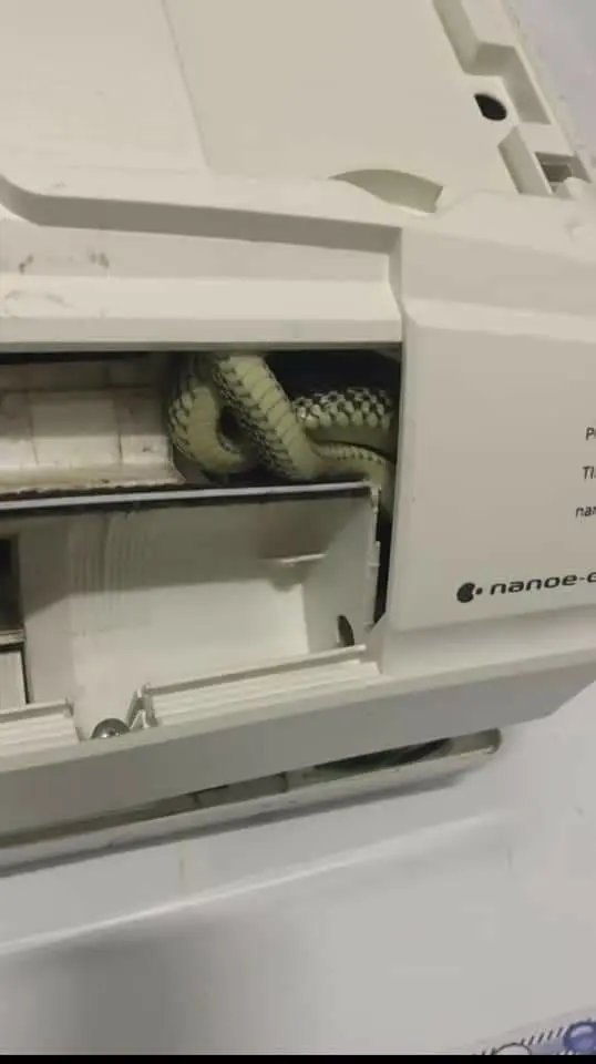 Snake Found Hiding Inside Air Conditioner At Johor Home To Escape The Heat