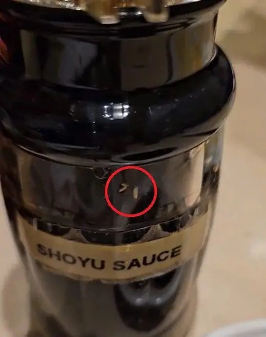 Sabah Man Finds Maggots Inside Soy Sauce At Sushi Restaurant, Suffers Diarrhea Later At Night