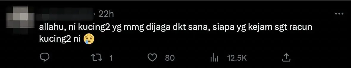 Comment - UUM Student Shocked To Find 10 Stray Cats Dead From Poisoning At Hostel comment 1