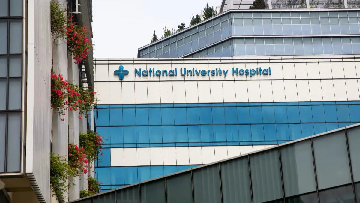 M'sian Lorry Driver Collapses From Alleged Stroke While Transporting Goods From JB To S'pore, Passes Away Later