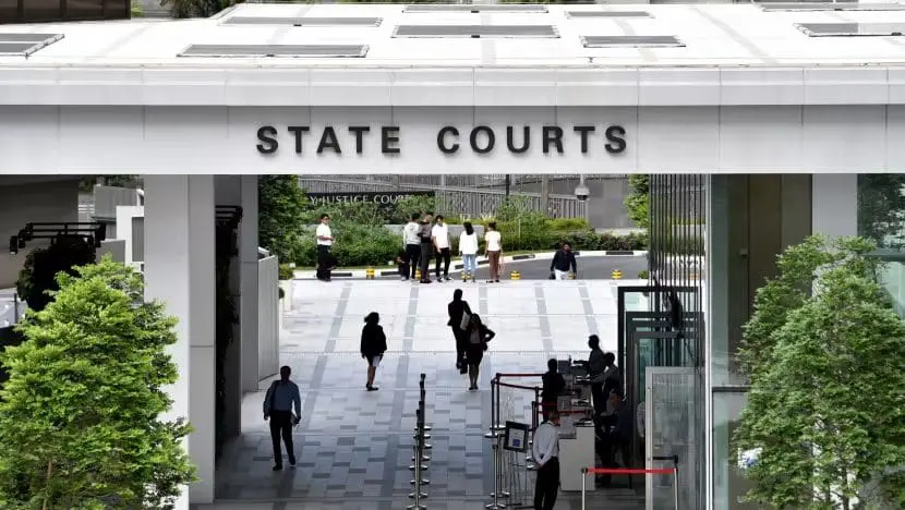 Plumber Breaks Into Woman's Home In S'pore After Claiming To Hear 'Porn Sounds', Gets Jailed For 3 Weeks