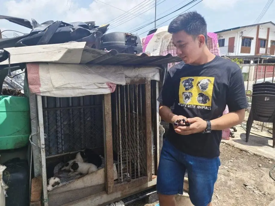 M'sian Man Takes Care Of Dog And Her 6 Puppies After Their Owner Passes Away