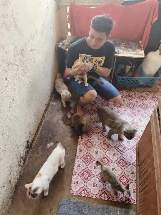 M'sian Man Takes Care Of Dog And Her 6 Puppies After Their Owner Passes Away
