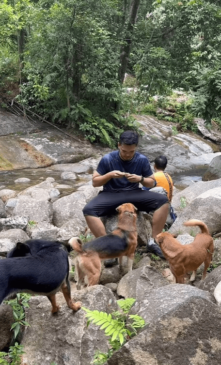 Khairul Aming Praised For Feeding Stray Dogs Who Accompanied Him On Hiking Trip