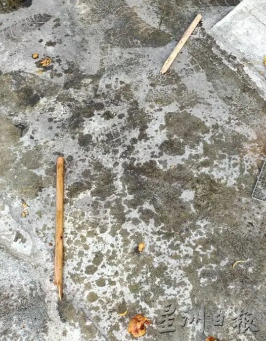 Broken wooden stick on the ground