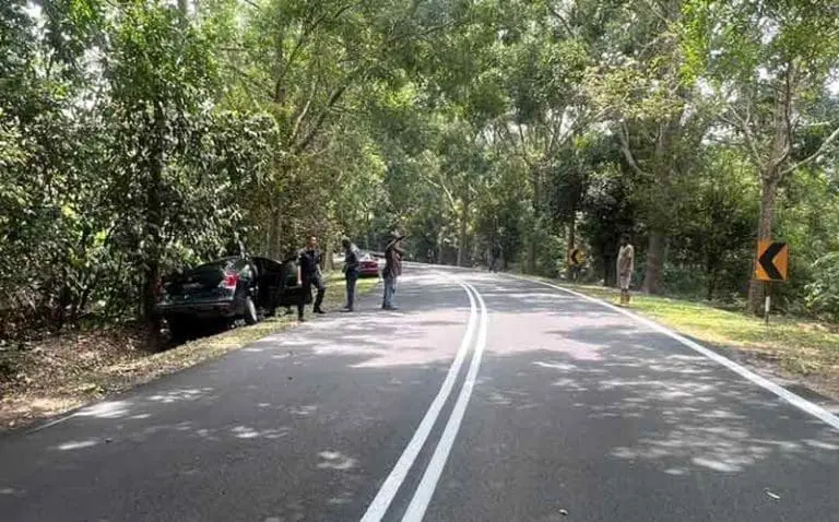 75yo M'sian Man Killed After Crashing Car Into Tree Following Suspected Heart Attack