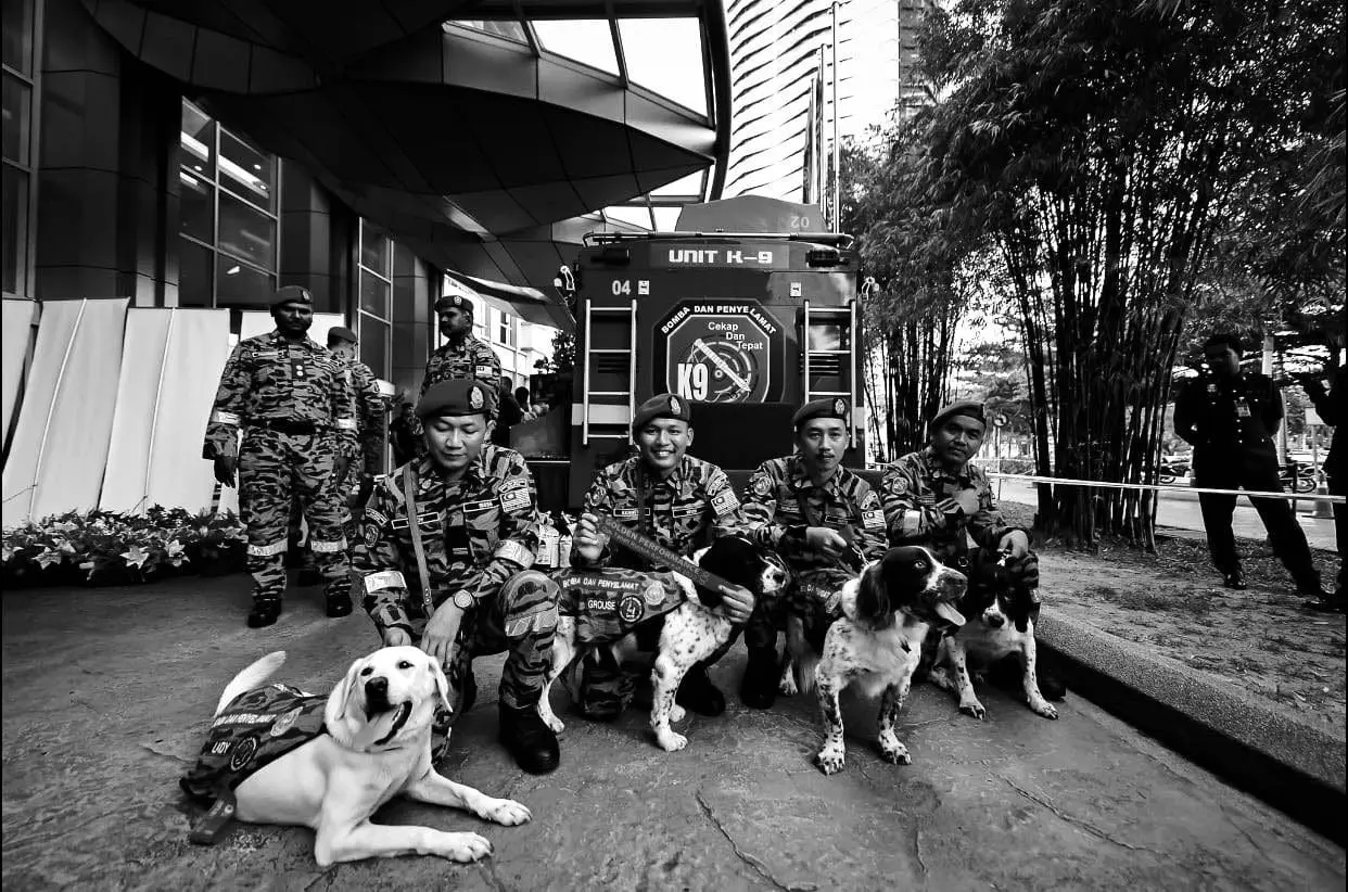 K9 Dog Blake, Who Was Part Of Batang Kali Rescue Mission, Dies Of Cancer