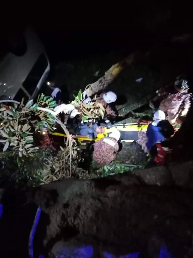 SG Woman Killed After Van Falls Into 6m-Deep Ravine In Penang